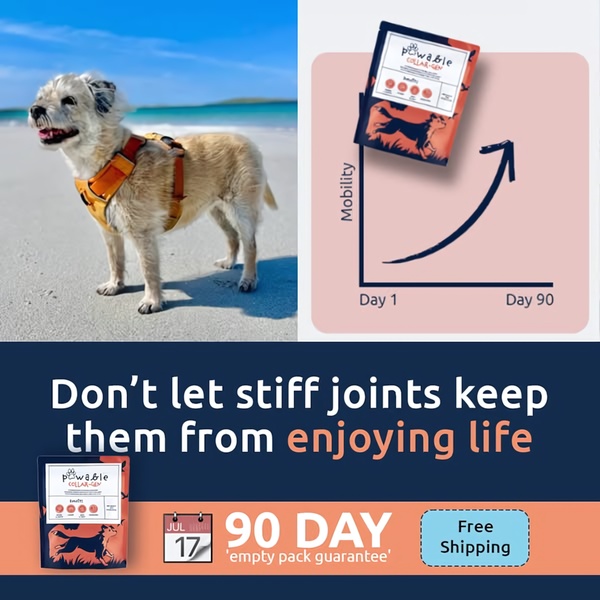 A split-screen ad creative featuring a dog on a beach alongside a growth chart visualization that highlights mobility improvements over 90 days.